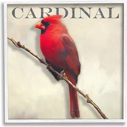 Stupell Industries Bold Red Cardinal Bird Portrait Rustic White Framed Art 17x17"