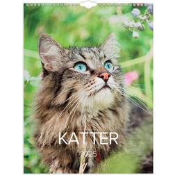 Burde 2025 Large Cat Wall Calendar
