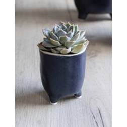 Garden Trading Positano Pot 7.2cm Ink Blue