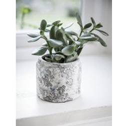 Garden Trading Withington Pot 11.5cm