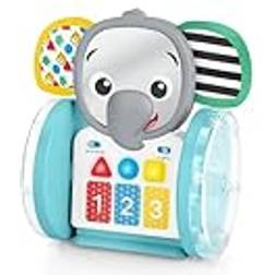Baby Einstein 16923 Box TOY, flerfärgad