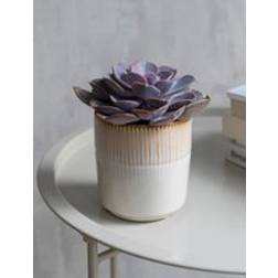 Garden Trading Hillesley Pot Ivory 11cm