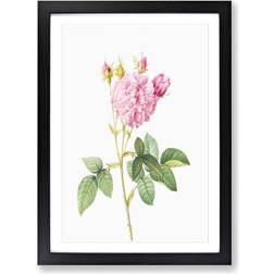 East Urban Home Agatha Roses In PInk Black Framed Art 45x63cm