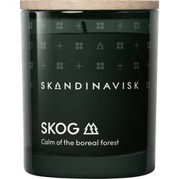 Skandinavisk SKOG Green Doftljus 69g