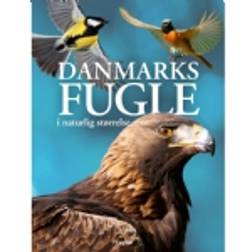 Danmarks fugle i naturlig størrelse Bog, Indbundet, Dansk