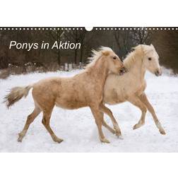 Calvendo Ponies in Action Desk Calendar 2025 A5