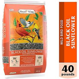 Royal Wing Black Oil Sunflower Wild Bird Food