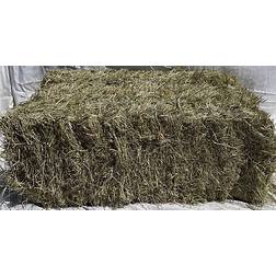 2-String Coastal Bermuda Hay Horse Feed