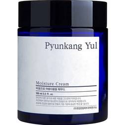 Pyunkang Yul Moisture Cream 100ml