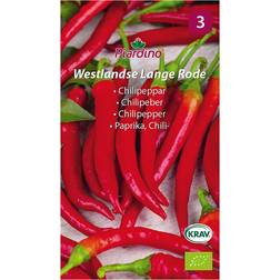 Piardino Grönsaksfrö Chilipeppar