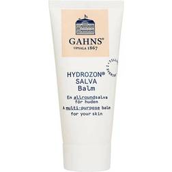 Gahns Hydrozon Salva