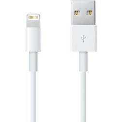 Apple USB A - Lightning M-M 0.5m