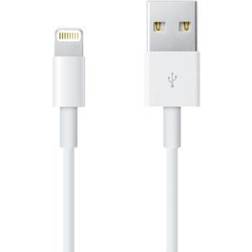 Apple USB A - Lightning M-M 1.6ft