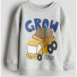 H&M Boys Grey Sweatshirt 4-6Y