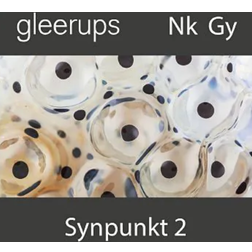 Synpunkt 2, digitalt läromedel, elev, 6 mån