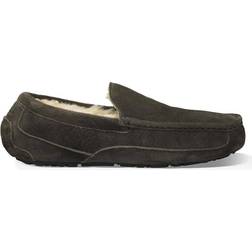 UGG Ascot - Charcoal