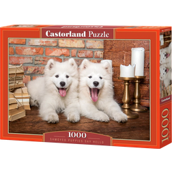 Castorland Samoyed Puppies Say Hello 1000 Pieces