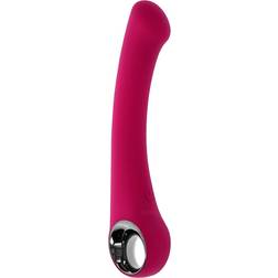 Evolved Novelties Pleasure Curve