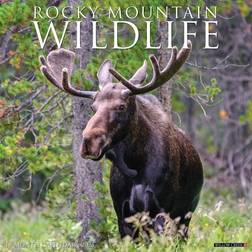 Willow Creek Press Rocky Mountain Wildlife Wall Calendar 2025