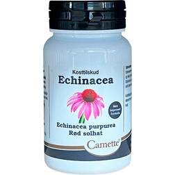 Camette Echinacea - 90 90 st