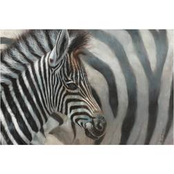 Latitude Run Zebra Foal White/Grey/Silver Wall Decor 45.7x30.5cm