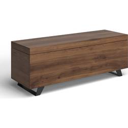 Birch Lane Dinora Dark Brown Coffee Table 15x46"