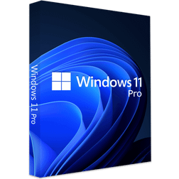 Windows 11 32/64 Professional Digital