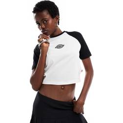 Dickies Sodaville Cropped hvid T-shirt med korte sorte ærmer Kun hos ASOS-Black