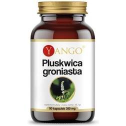 Yango Pluskwica Groniasta 90 stk