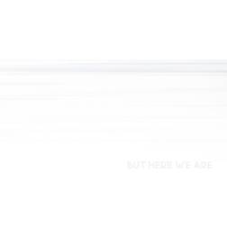 But Here We Are 1LP Black One Size (Vinyl)
