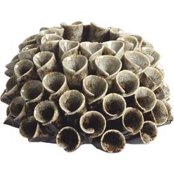 Mogihome Shelly Heat Mole Värmeljuslykta 7cm