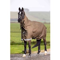 LeMieux LeMieux Horsehealth LeMieux Arika Ripstop 200g Turnout Rug Alpine Si