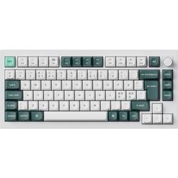 Keychron Q1 HE Gateron Double-rail Magnetic