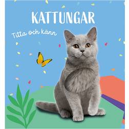 Titta och känn. Kattungar board book (E-bok)