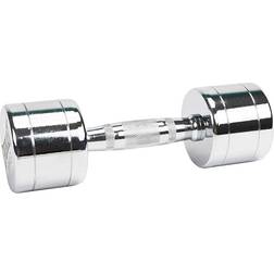 Everlast Chrome Dumbbell 10kg