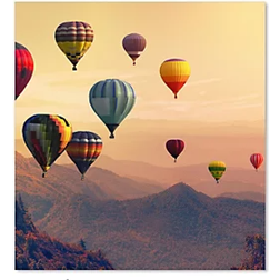 Choose Your Print Hot Air Balloon Splash Guard