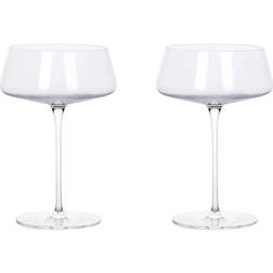 Raw Aida Ultima 2-pack Mouth-blown Crystal Clear Cocktail Glass 2pcs