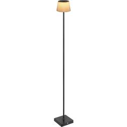 Globo Gregoir Black Matt Floor Lamp