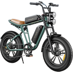 Engwe M20 Electric Bike 750W 25KM/H 13Ah