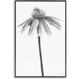 Stupell Industries Simple Daisy Sprig Black Framed Art 16x24"