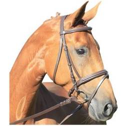 Waldhausen Combined Noseband Bridle Star Lifestyle - Noir