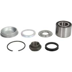 FAG 713650070 Rear Axle Wheel Bearing Kit