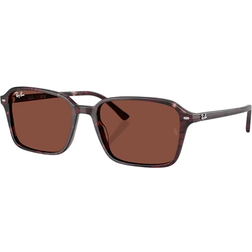 Ray-Ban Raimond RB2231 1416C5