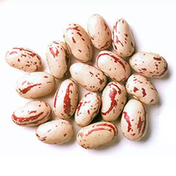 Jalpur Rosecoco Beans 200g