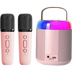 Y2 KTV Bluetooth System Wireless Dual Microphone