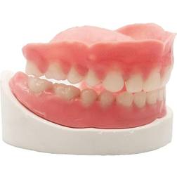 Healthyare Denture Do it Yourself Full Set