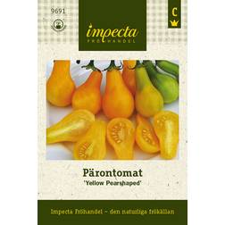 Impecta Pärontomat Yellow Pearshaped