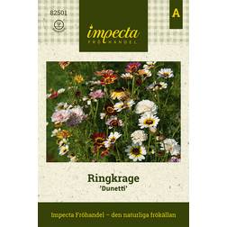 Impecta Ringkrage Dunetti