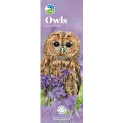 Carousel Calendars Owls Slim Calendar 2025