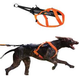 Non-Stop Dogwear Freemotion Harness 5.0 Str. 8 Orange/Black/Orange